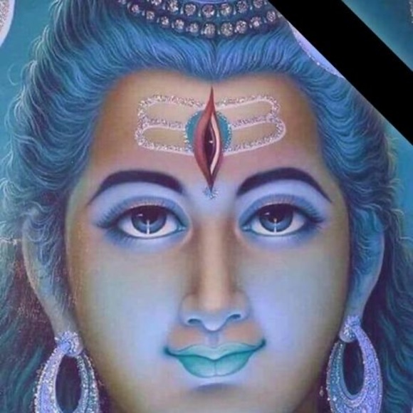 Meet your Posher, Rajesh - Picture 1 of 1